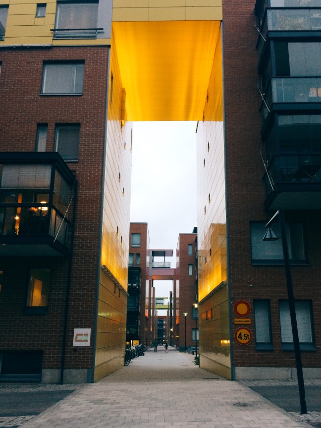 Processed with VSCO with q1 preset