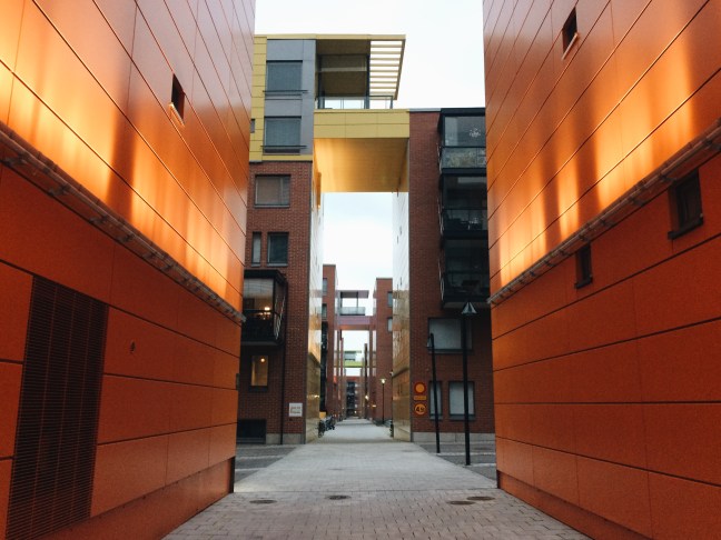 Processed with VSCO with a6 preset