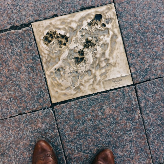 Processed with VSCO with q1 preset